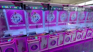 Commercial  Claw Machine Coin Operated Arcade Crane Game for FEC and Mall
